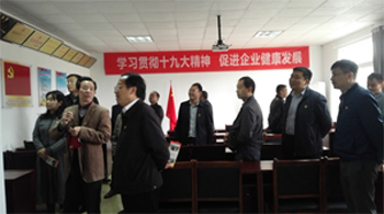 九江市柴桑区委书记骆效农考察壹乐娱乐党建工作